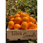 Флоренс F1 5000 семян детерминантного томата, Libra Seeds, США Флоренс F1 5000 семян детерминантного томата, Libra Seeds, США